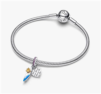 Montebelluna - Via Dante Alighieri, 1 - Charm Pandora in Argento Cubic Zirconia 764628C01 - 764628C01